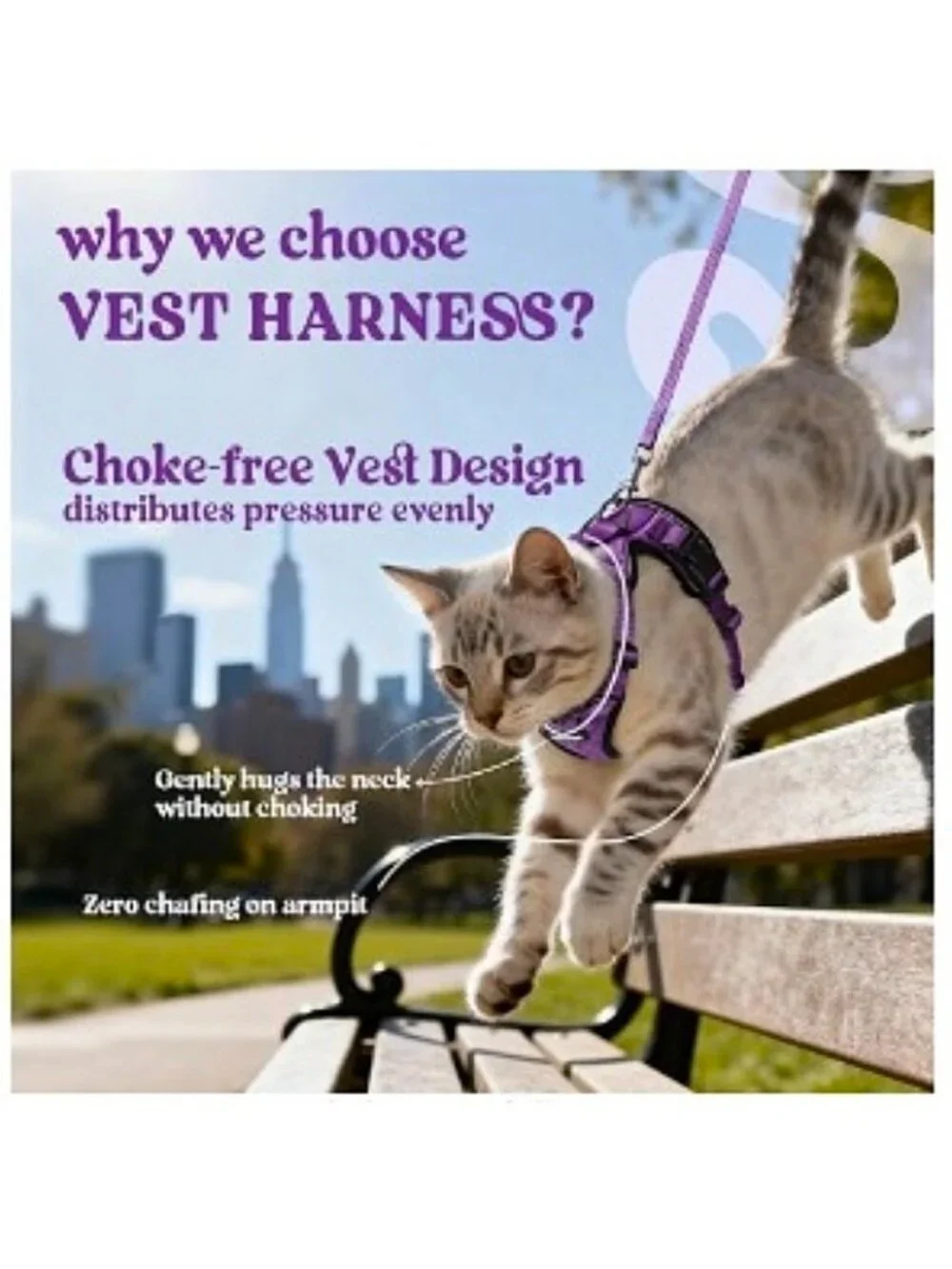 Rabbitgoo Escape Proof Cat Harness, Leash Set NW0T